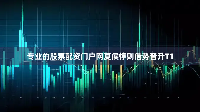 专业的股票配资门户网夏侯惇则借势晋升T1