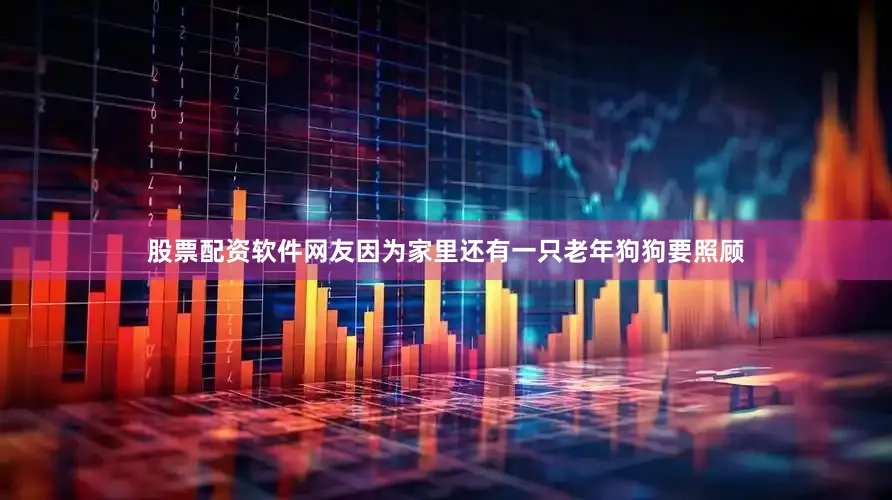 股票配资软件网友因为家里还有一只老年狗狗要照顾