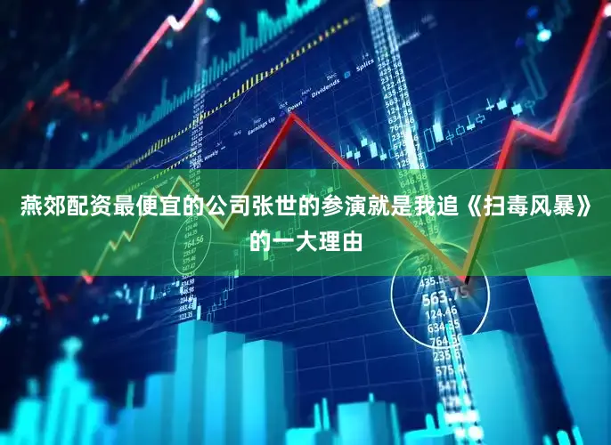 燕郊配资最便宜的公司张世的参演就是我追《扫毒风暴》的一大理由
