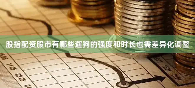 股指配资股市有哪些遛狗的强度和时长也需差异化调整