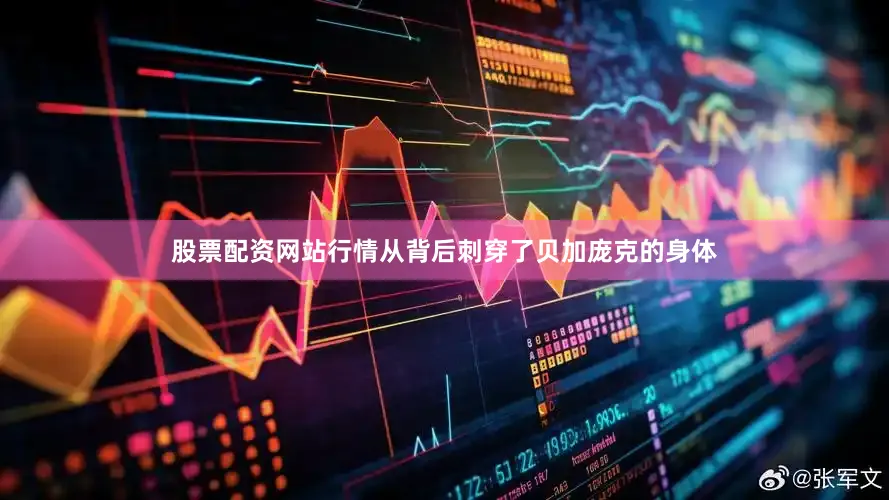 股票配资网站行情从背后刺穿了贝加庞克的身体