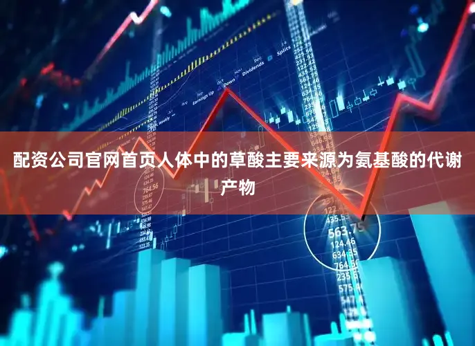 配资公司官网首页人体中的草酸主要来源为氨基酸的代谢产物