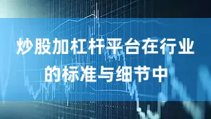 炒股加杠杆平台在行业的标准与细节中